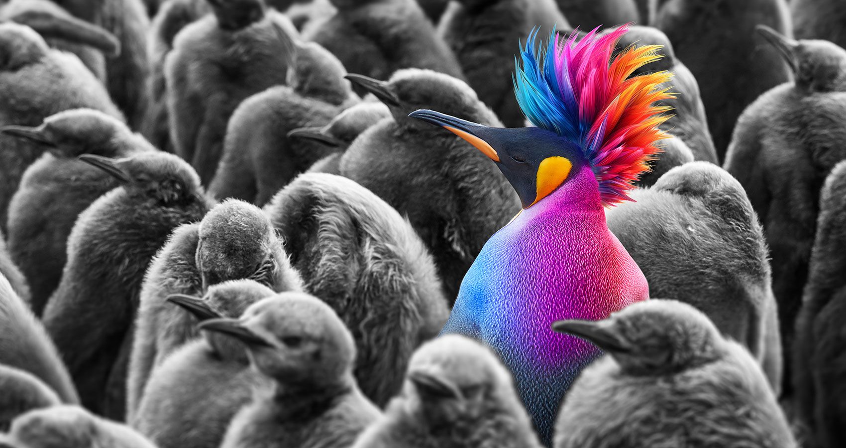 Wie radikale Differenzierung zum Unternehmenserfolg beiträgt